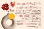 Salctego Modern Luxury Display, a Sans Serif Font by timelesstype.co (Thumbnail 18 of 20)