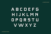 Rattlesnake - Vintage Serif Font, a Serif Font by Creative Type (Thumbnail 7 of 13)