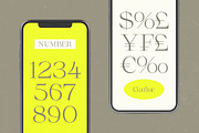Gafloc Thin Serif Display, a Serif Font by timelesstype.co (Thumbnail 3 of 15)