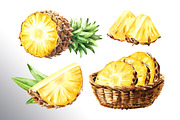 Tropical Pineapple. Hand painted, a Food Illustration by Daria Ustiugova (Thumbnail 4 of 28)
