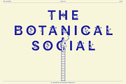 BN Blooms, a Sans Serif Font by Bnick (Thumbnail 4 of 17)