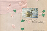 Scanned Confetti Paper Textures Pack, a Texture Graphic by Oksana Trygub (Thumbnail 14 of 17)