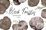 Black Truffle Watercolor Clipart, a Food Illustration by NKTKNS (Thumbnail 1 of 6)