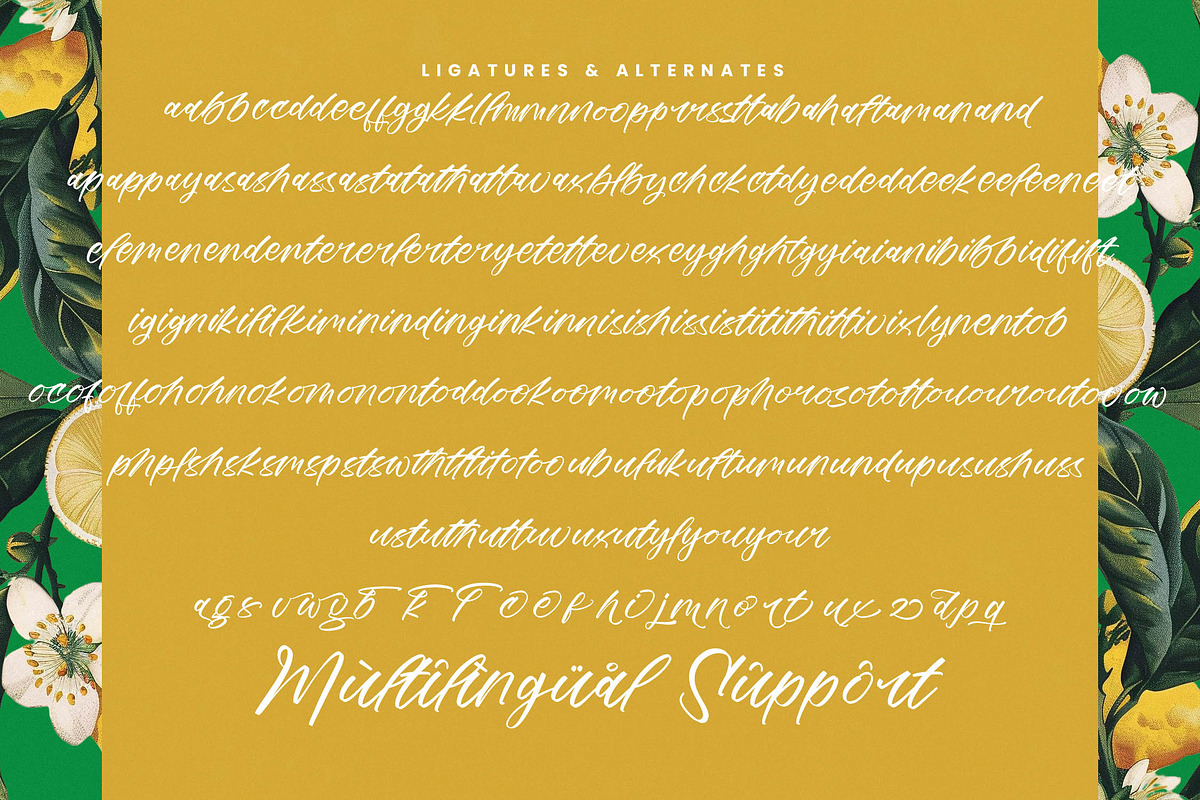 Mindful Angelic Modern Elegant Font, a Script Font by stylishtype.co (Photo 18 of 19)