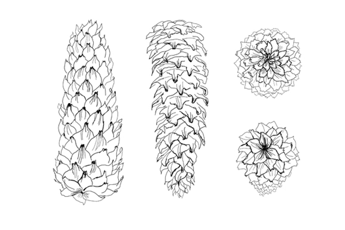 cones vector set preview 4