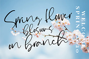 Yullietta - Modern Signature Font, a Script Font by Good Java Studio (Thumbnail 10 of 11)
