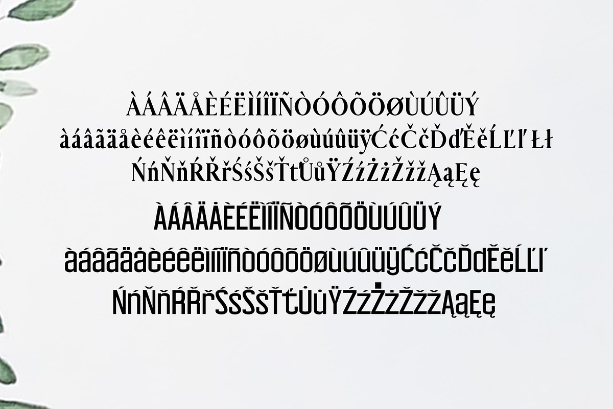 Carolin Duo 5 Font Family Pack preview 4