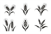 Grass & Wheat Files, an Illustration by jahid234 (Thumbnail 5 of 9)