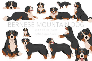 Bernese Mountain Dog Clipart