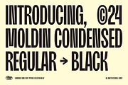 Moldin - Condensed Sans Serif Font, a Sans Serif Font by Zarma Type (Thumbnail 2 of 12)