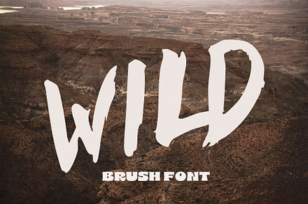 Brush Font. WILD Hand drawn Typeface