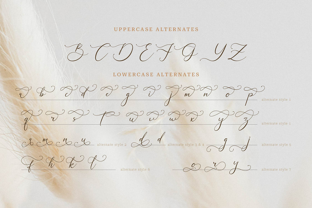 Galteniya | Beautiful Script, a Script Font by Denustudios (Photo 14 of 15)