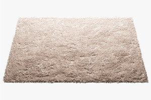 Carpets With Long Nap 3d Model