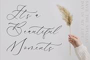 Gladioss Feather Luxury Script Font, a Script Font by Storytype Studio (Thumbnail 2 of 15)
