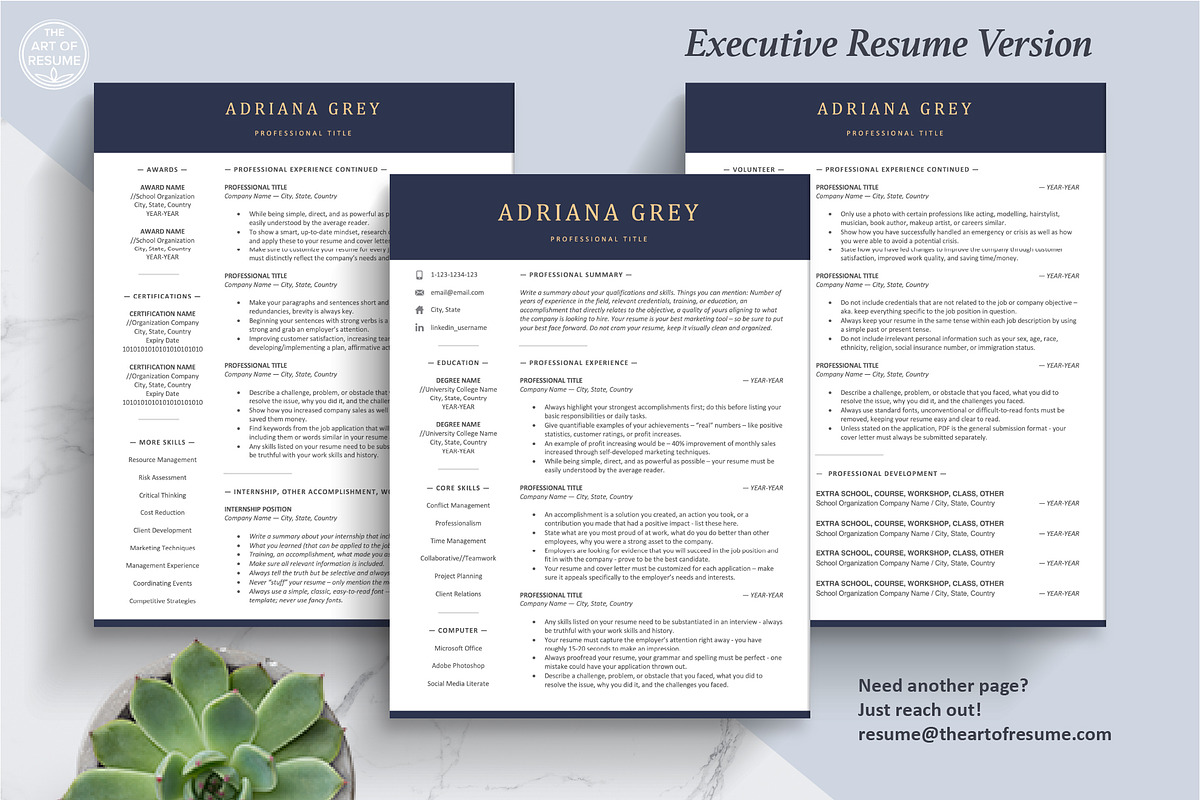 Professional Resume Template Design, a Resume Template by The Art of Resume (Photo 5 of 8)