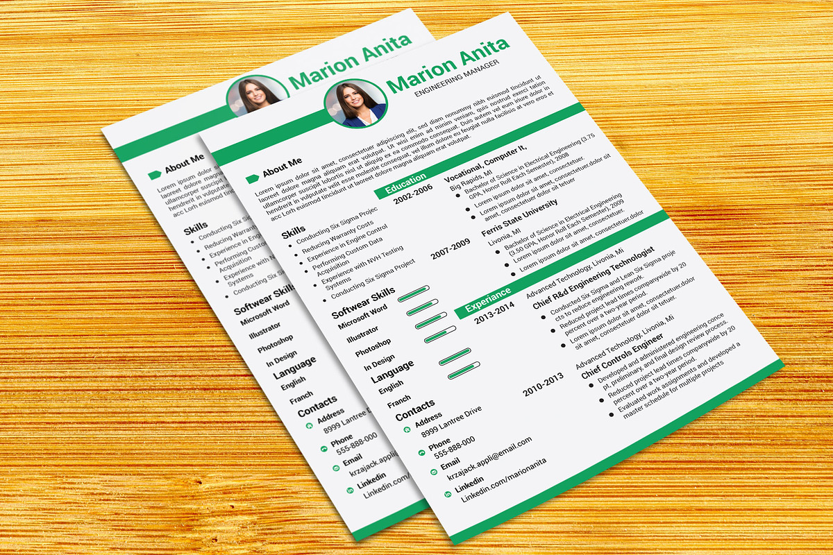 Professional Resume / CV Template, a Resume Template by designvillage (Photo 11 of 11)