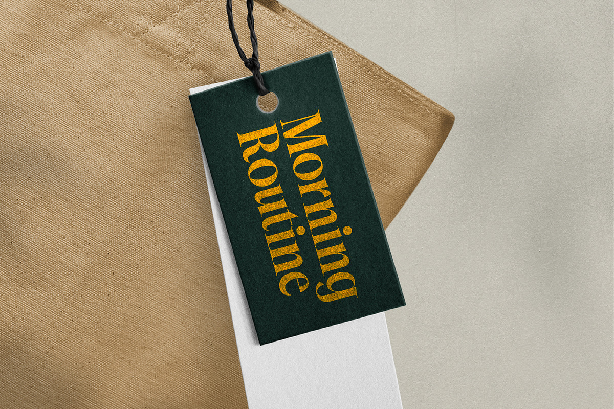 Mailyo Modern Serif Display Font, a Serif Font by timelesstype.co (Photo 13 of 20)