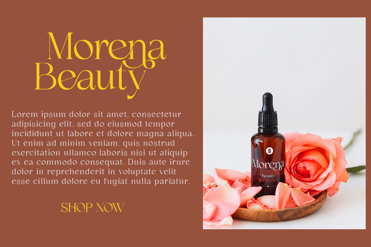 Demetras, a Serif Font by Propertype (Photo 9 of 10)