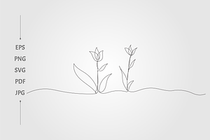 tulip botanical floral sketches