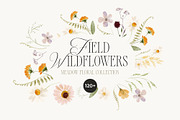 FIELD WILDFLOWERS watercolor, a Decorative Illustration by Lana Elanor (Thumbnail 1 of 12)