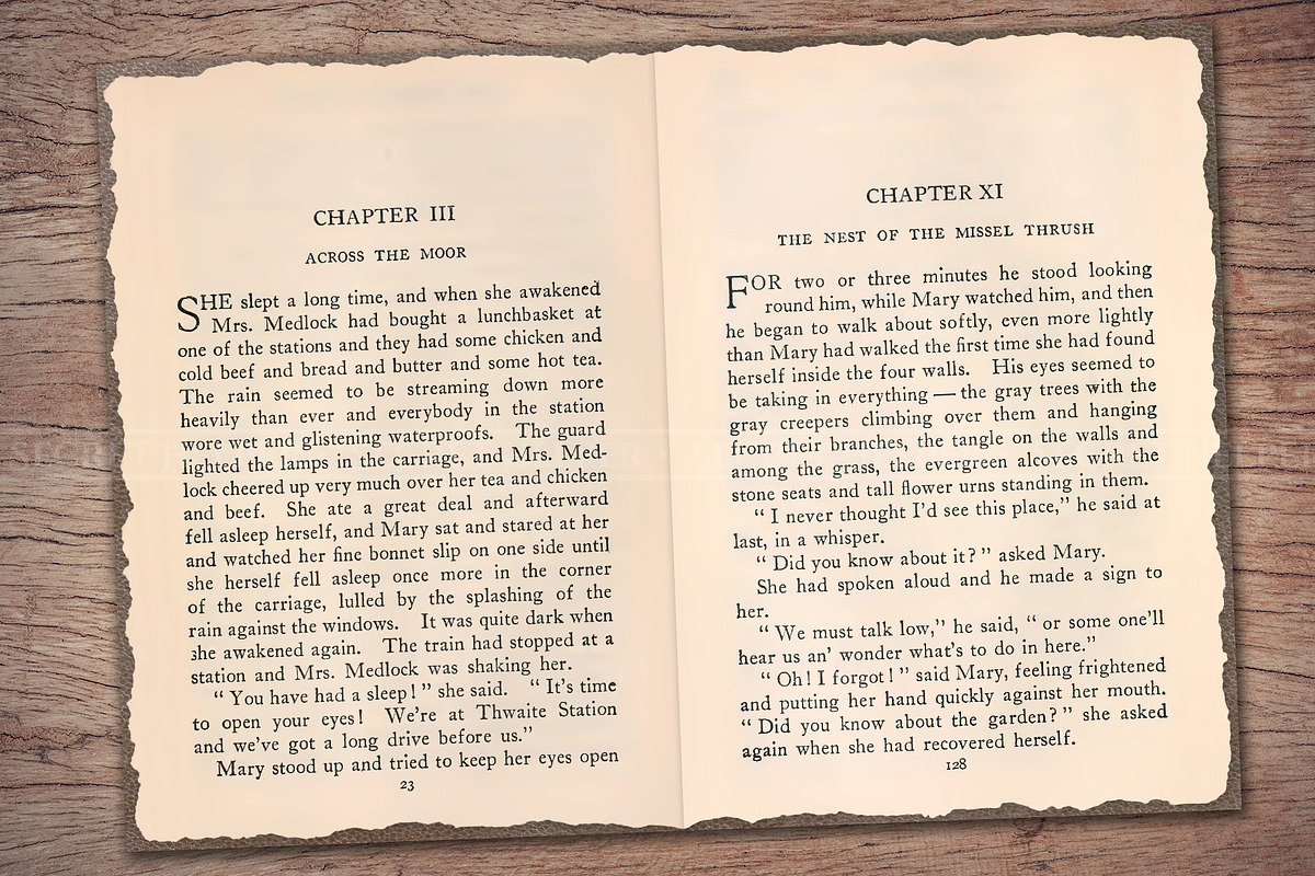 Old Book Paper (Double Page Spreads), a Texture Illustration by Secret Helper (Photo 6 of 7)