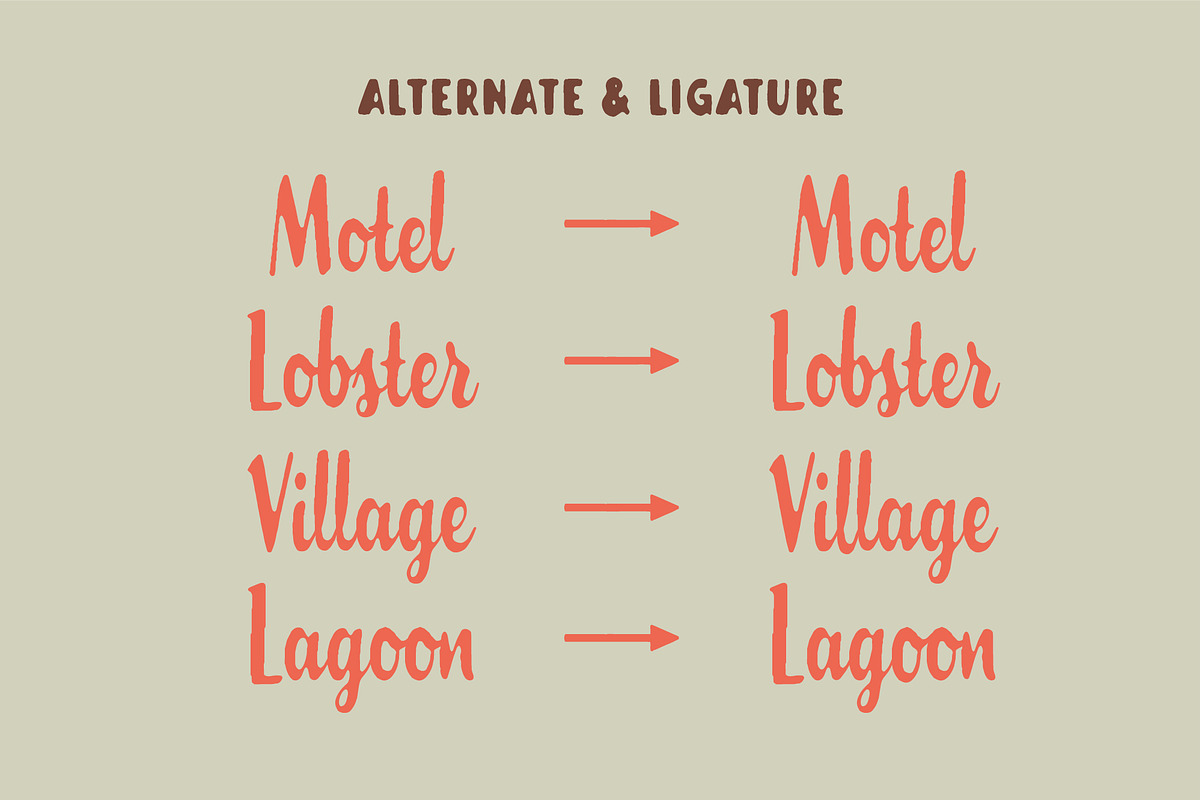 Florida Palms – Tropical Font Duo, a Script Font by Edignwn Type (Photo 7 of 12)