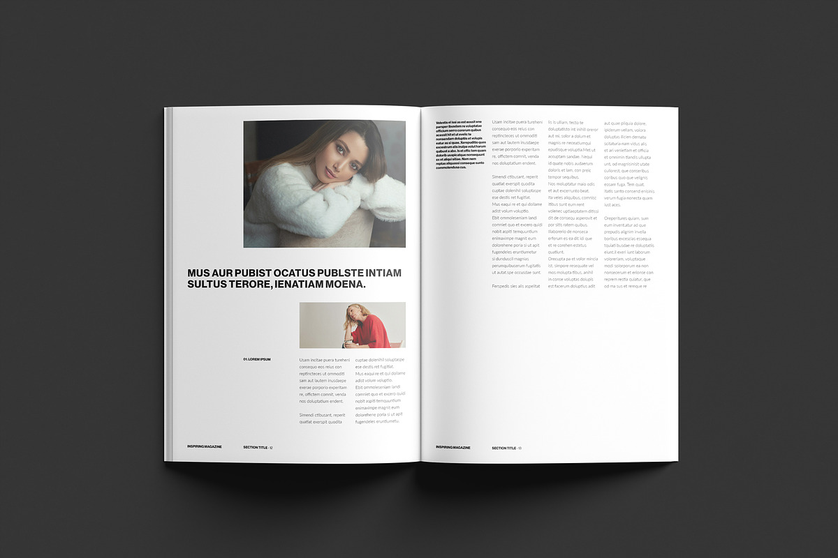 Inspiring Magazine Template preview 7