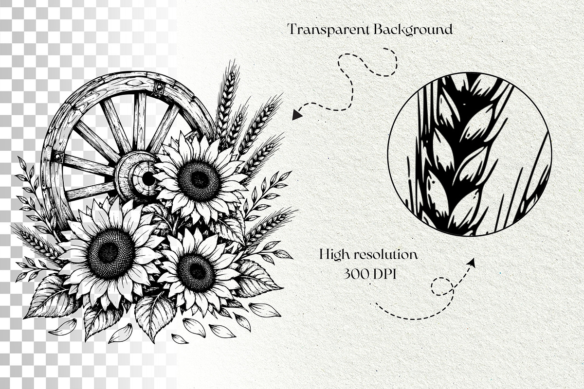 Sunflower Harvest Graphics, a Decorative Illustration by DENIDigitalArtSudio (Photo 5 of 5)