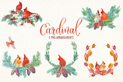 Cardinal bird watercolor clipart set, an Illustration by Art & Things (Thumbnail 5 of 6)