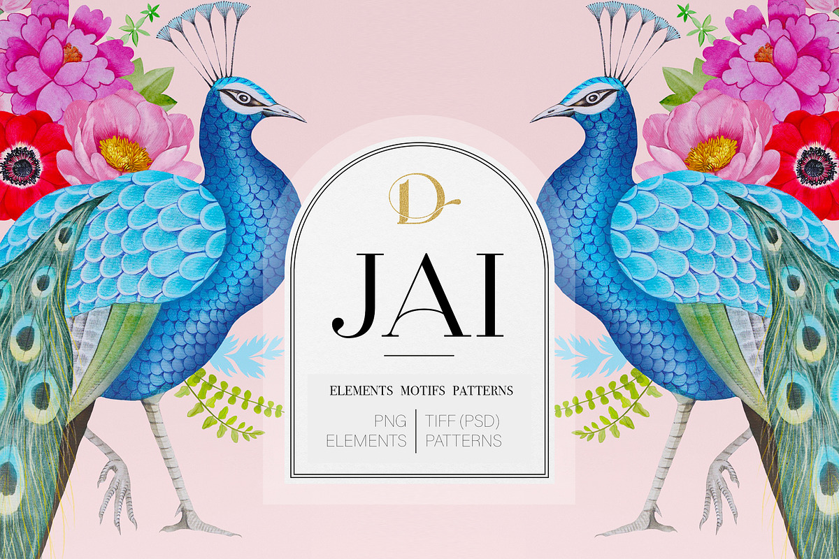 JAI Collection, a Decorative Illustration by Dana Designs (Photo 1 of 14)