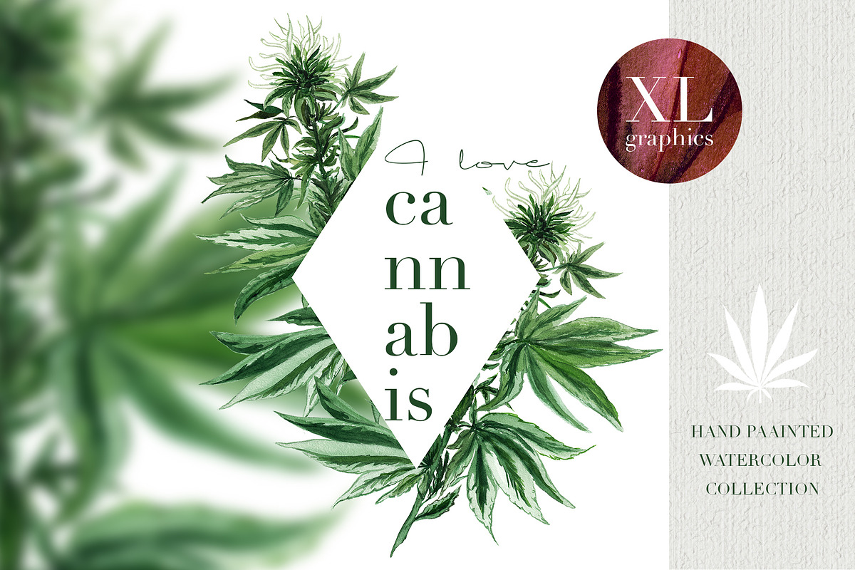 XL files - Watercolor Cannabis Set, an Object Graphic by Jeanina Vlad (Photo 1 of 17)