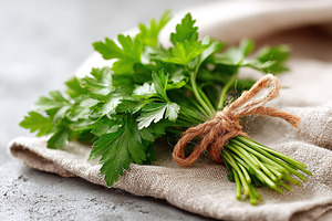 Fresh Italian flat-leaf parsley tied with twine on a rustic cloth background, a Food & Drink Photo by AlyaAnd