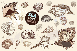 Sea Love Shells. Vector set