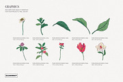 Rustle Botanical Pattern and Motifs, a Pattern Graphic by likorbut (Thumbnail 7 of 12)