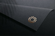 Modern Geometric Star Logo Design, a Branding & Logo Template by arhabib (Thumbnail 3 of 11)