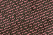 Palenk Radney | Modern Retro Serif, a Serif Font by Denustudios (Thumbnail 13 of 13)