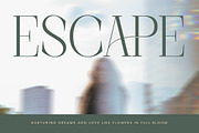 Barely Painter Elegant Serif Font, a Serif Font by timelesstype.co (Thumbnail 15 of 20)