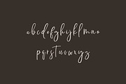 Diantha Wocasta Handwritten Font, a Handwritten Font by UICreative (Thumbnail 5 of 11)
