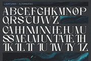 Divera - Display Serif, a Serif Font by executypeStudio (Thumbnail 10 of 11)