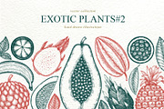 Exotic Plants Vector Collection#2, a Food Illustration by Lubov Illustrations Shop (Thumbnail 1 of 3)