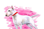 Watercolor Dogs Mega Big Bundle, an Illustration by Dneprstock (Thumbnail 13 of 60)