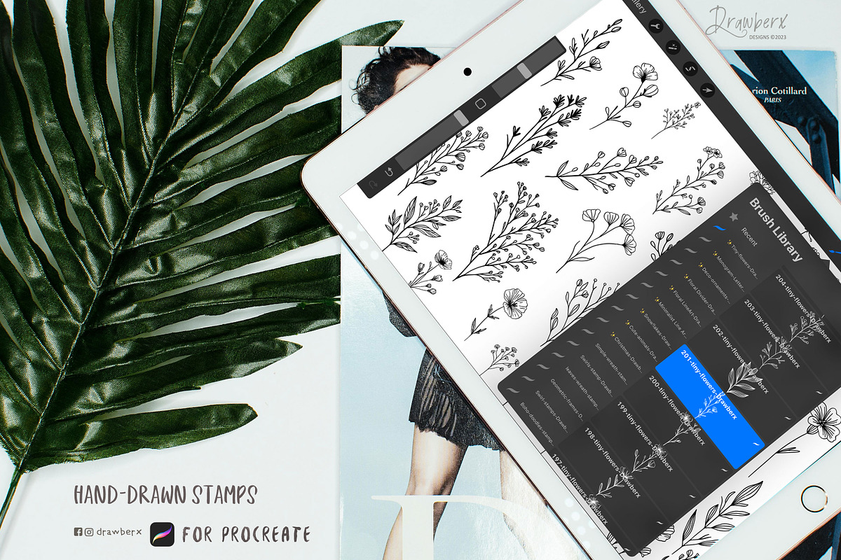 Procreate Stamps Tiny Flowers 026, a Brushes & More by Drawberx (Photo 7 of 10)