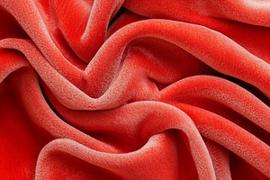 Red velvet fabric texture background, a Photo by Dvoevnore photos