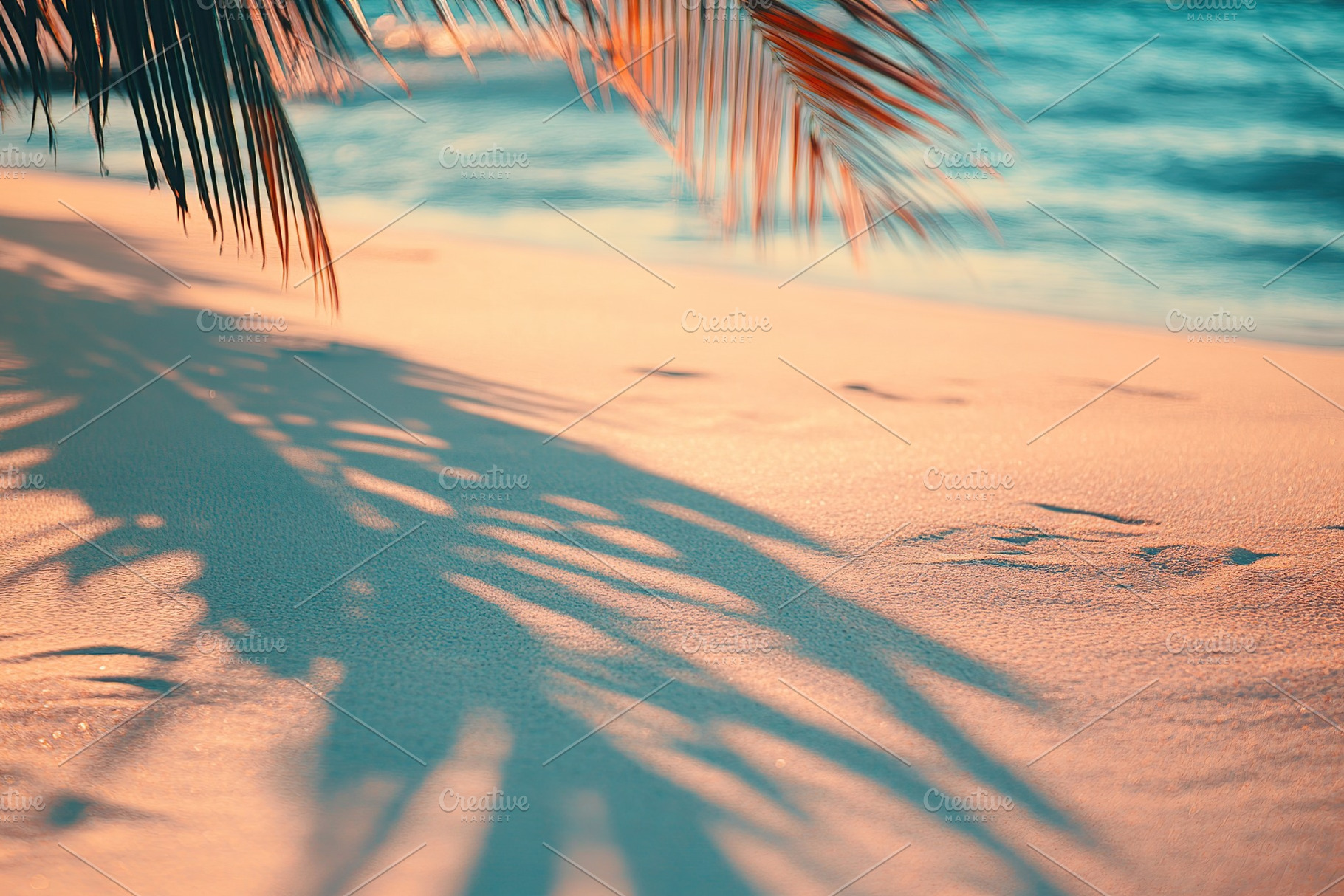 Smooth beach sand and palm tree shadows create a serene coastal landscape, a Nature Photo by AlyaAnd
