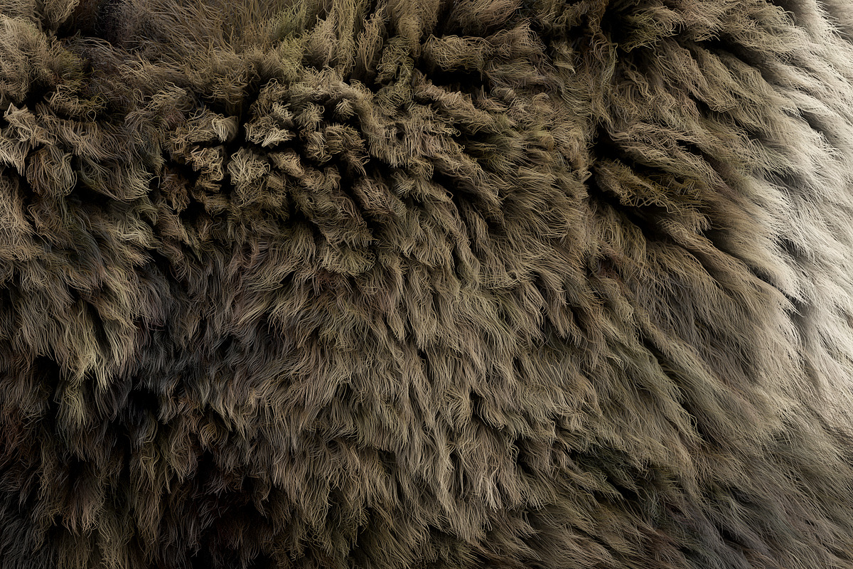 Collection of 38 fur pillows, an Object 3D Model by 3dmitruk (Photo 58 of 112)