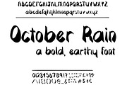 Font October Rain Earthy Autumn Bold, a Sans Serif Font by PageLightStudios (Thumbnail 4 of 4)