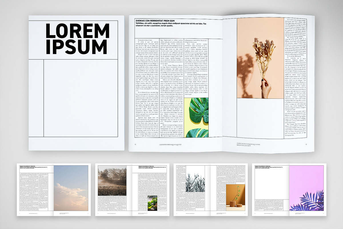 Modular Grid Magazine Layout