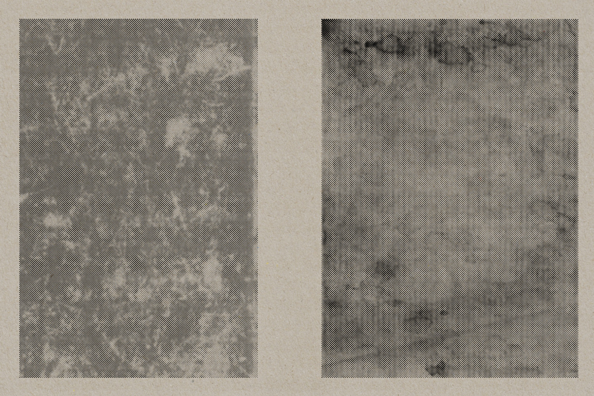 Halftone Paper & Card Vectors, a Texture Graphic by Offset (Photo 8 of 16)
