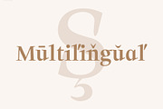 Solomon Serif Font Family, a Serif Font by Symufa (Thumbnail 7 of 10)