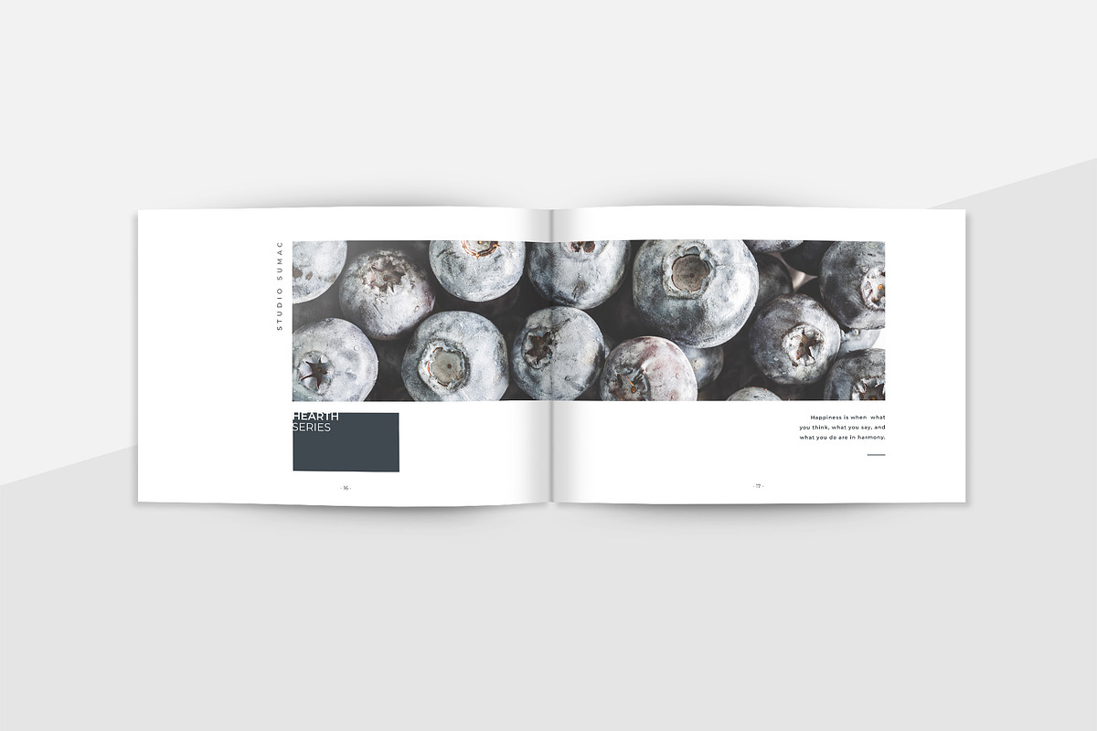 Hickory Brochure Template, a Brochure Template by Studio Sumac (Photo 1 of 8)